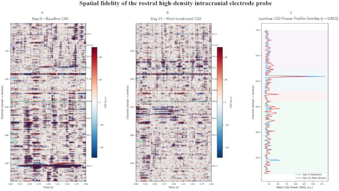 figure-results-4 Spatial fidelity, intracranial electrode probe, baseline, post-treatment CSD data, power profile graph.
