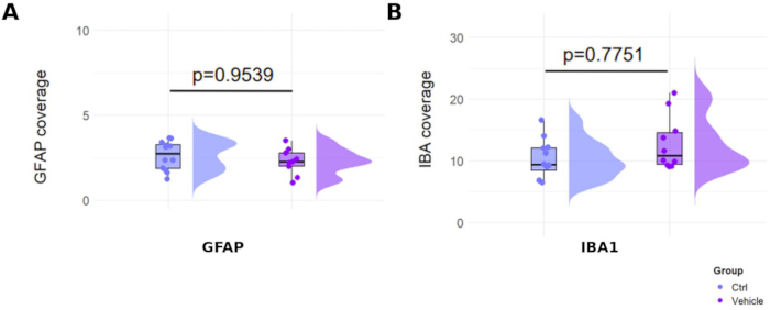 figure-results-6 GFAP and IBA1 distribution, statistical analysis of control vs vehicle groups, box and violin plot.