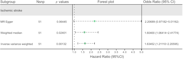 Forest plot diagram of ischemic stroke analysis; hazard ratio, odds ratio with statistical values.
