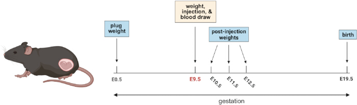 figure-introduction-1