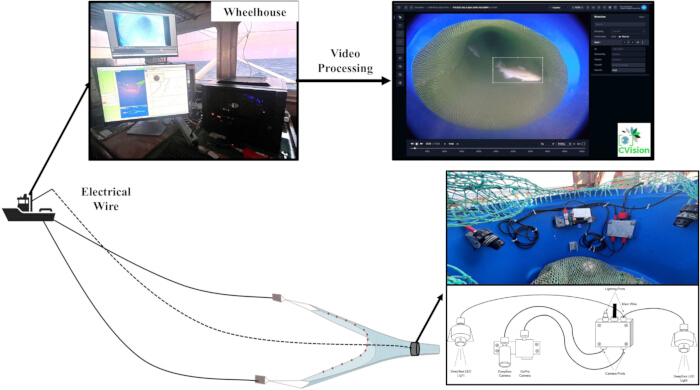figure-protocol-1 Commercial fishing net monitoring diagram, including video processing and underwater camera setup.