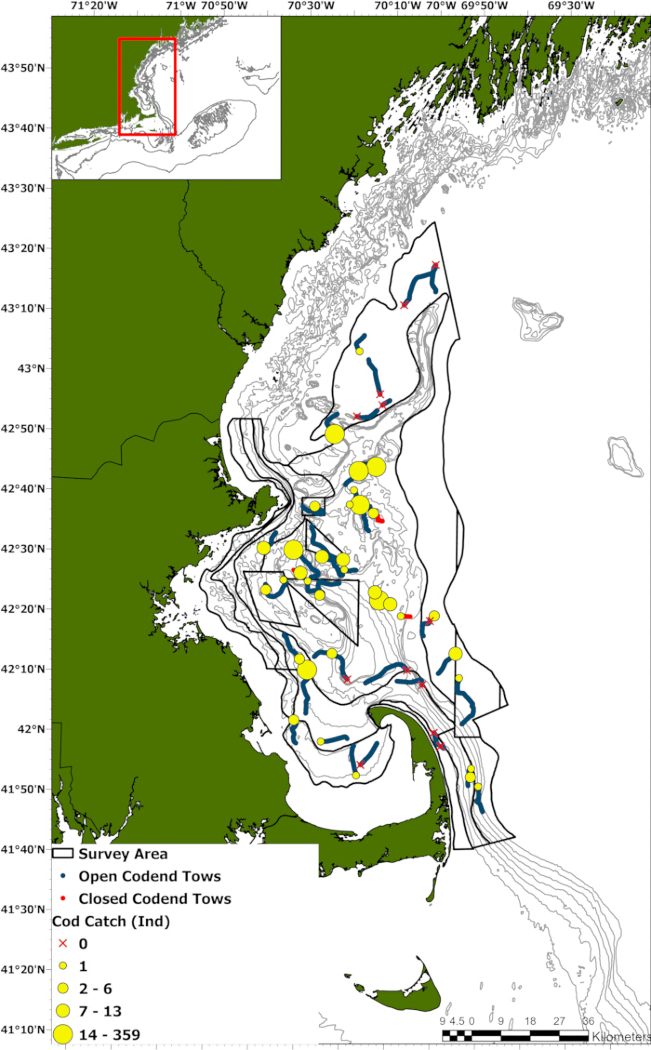 figure-results-1 Cod distribution map, New England shelf; survey area, catch data, closed/open codend tows, study chart.