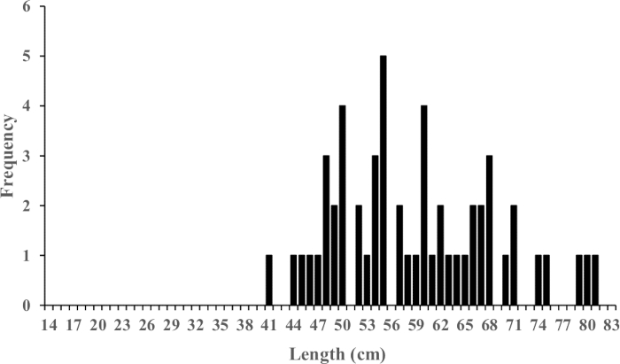 figure-results-2 Histogram of length frequency distribution in centimeters; statistical data analysis graph.