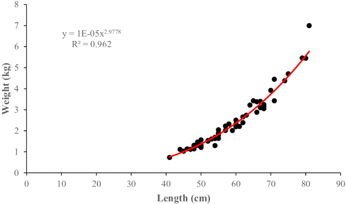 figure-results-3 Length-weight relationship graph; equation y=1E-05x^2.9778, R²=0.962; data fitting analysis.