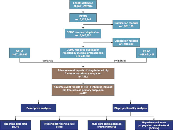 Adverse event reporting flowchart; hip fractures analysis, database filtering, statistical methods.