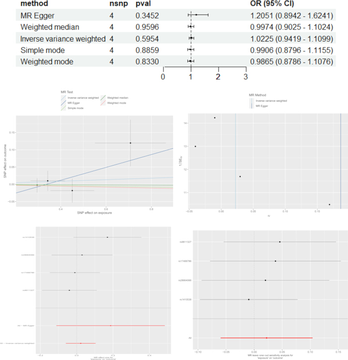 Mendelian randomization analysis, OR plot, SNP effect graphs, statistical data interpretation.