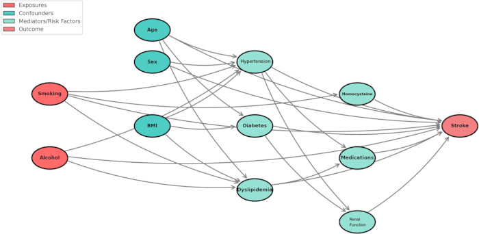 figure-protocol-1 Stroke risk factors diagram; exposures, confounders, mediators; causal relationships visualized.