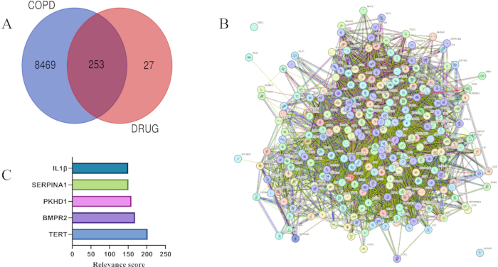 figure-results-2 Venn diagram COPD-drug interaction, protein interaction network, gene relevance bar chart.