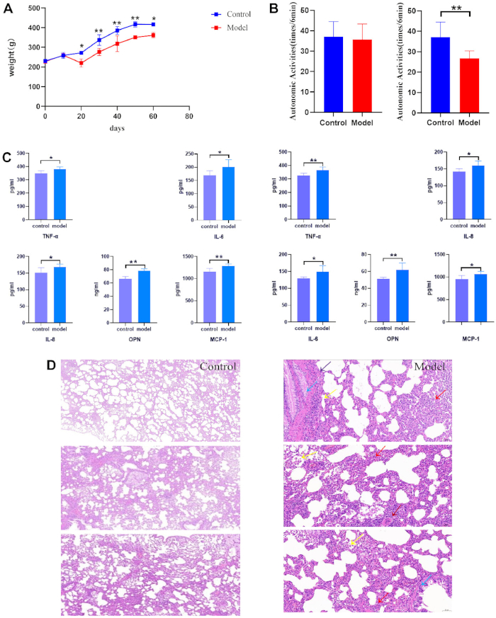 figure-results-3 Weight gain, autonomic activity, cytokine levels, histology; graphs, bar charts, tissue slides.