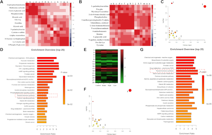 figure-results-6 Protein enrichment heatmaps, bar charts, scatter plots for data analysis in bioinformatics study.