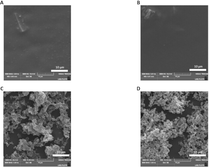 figure-protocol-5 SEM analysis of nanomaterials at 10 μm scale; microstructural properties and surface morphology.