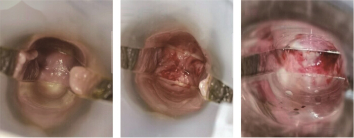 figure-results-1 Tissue homogenization process, biological sample preparation, experimental setup components.