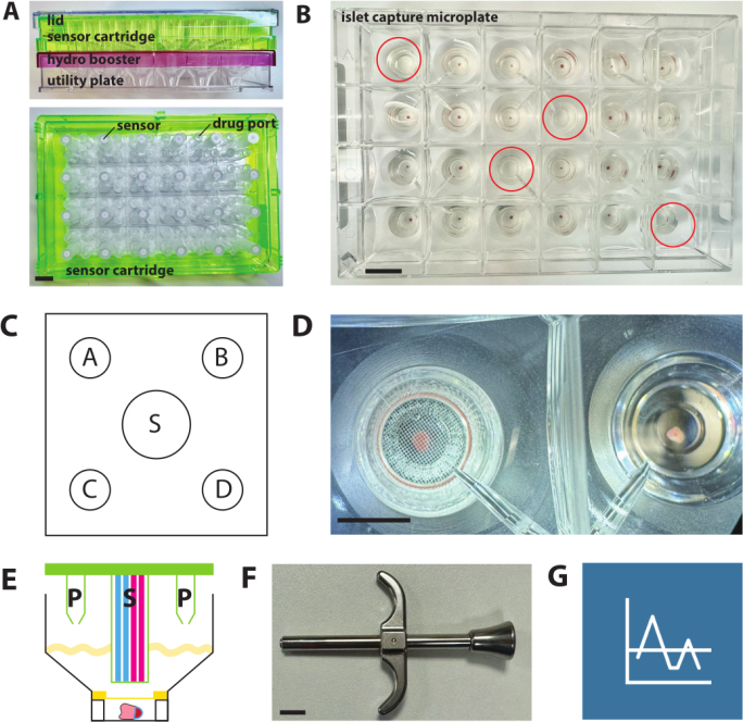 figure-results-2 Sensor cartridge and islet capture microplate in bio-experiment; diagram, setup, equipment detail.