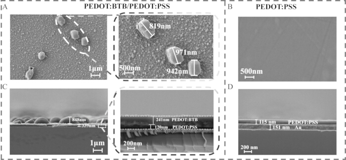 Scanning electron microscopy (SEM) of PEDOT:BTB/PEDOT:PSS film thickness and nanoparticle morphology.