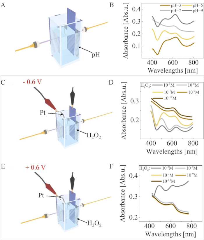 <p>Electrochemical cell setup, optical spectroscopy, absorbance vs. wavelength graph, pH effect, H<sub>2</sub>O<sub>2</sub> concentration.</p>