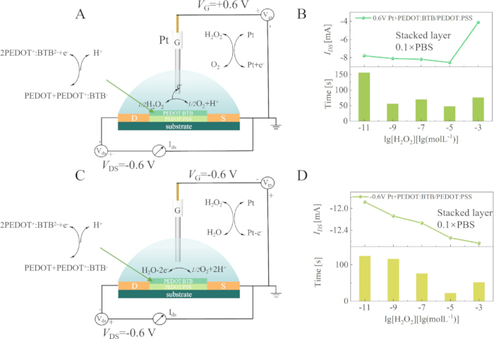 Electrochemical sensor diagram; PEDOT:BTB reactivity; Pt electrode; current vs. time graph.
