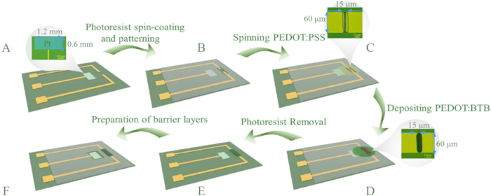 Photolithography process diagram: spin-coating, patterning, PEDOT:PSS deposition, barrier layers.