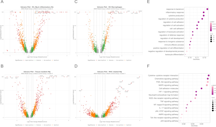 Volcano plots and analysis chart showing differential gene expression and pathway enrichment results.