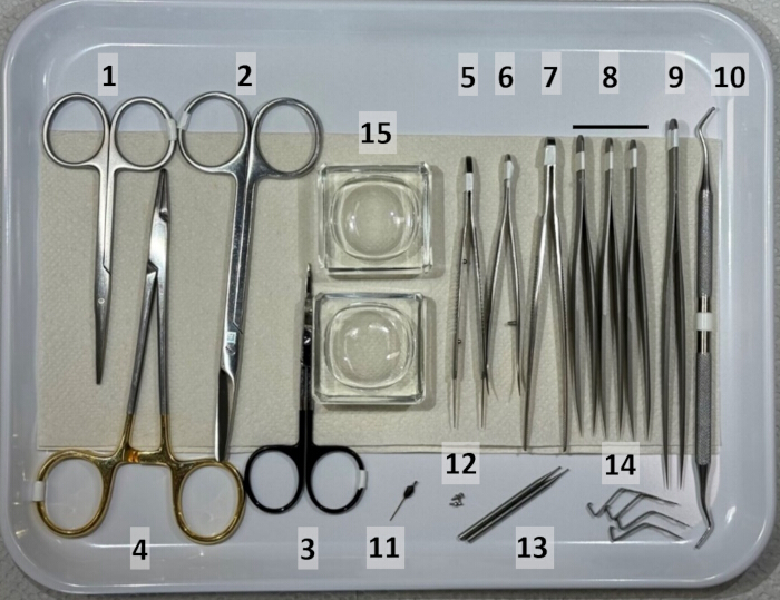 figure-results-1 Dissection tools set, scalpel, scissors, forceps, glass dishes, lab instruments used in anatomy study.