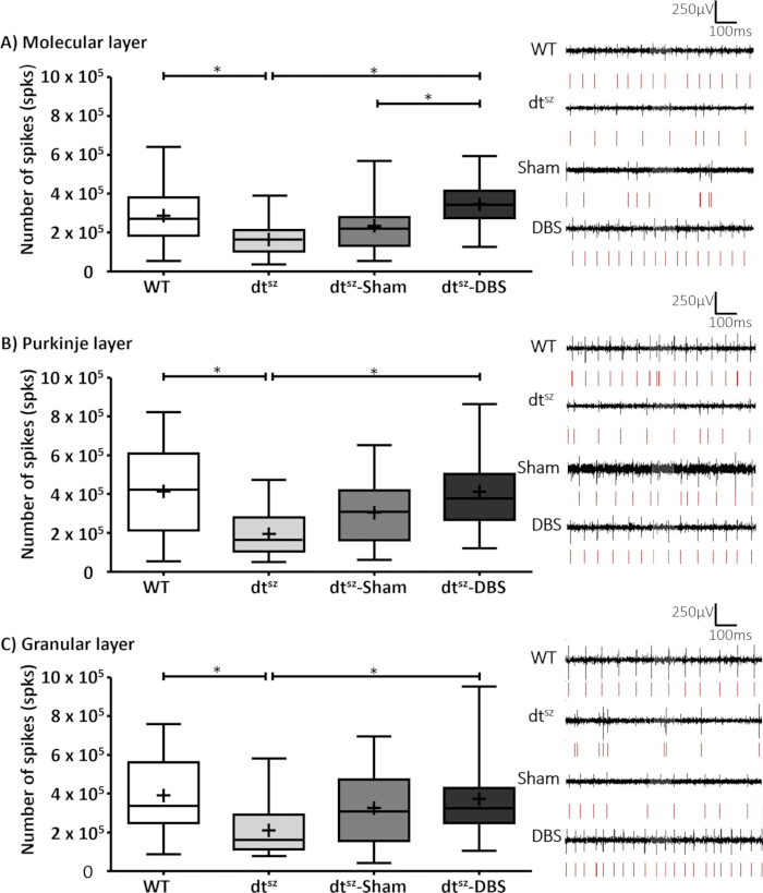 figure-results-6 Neural spike count comparison in brain layers; box plots with electrophysiology waveforms.