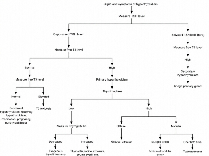 figure-introduction-1 Flowchart: Diagnostic process for hyperthyroidism, measures TSH, T4, T3 levels; identifies conditions.
