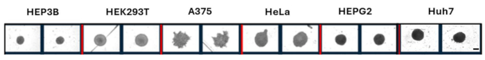 figure-results-2