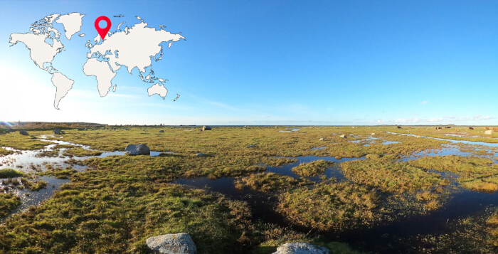 figure-results-1 Arctic tundra landscape with wetlands, clear sky, world map marking location, ecological study.