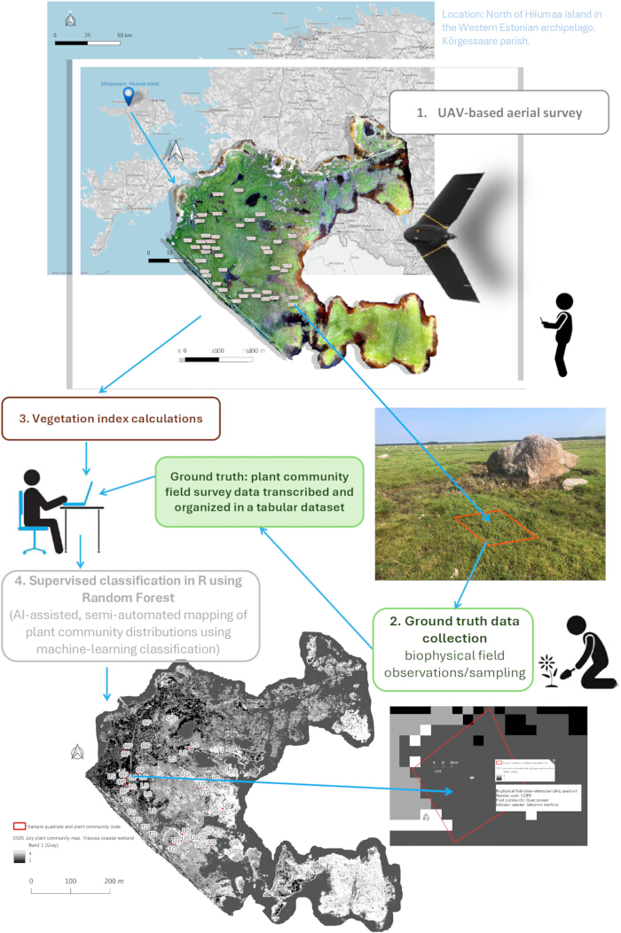 figure-results-2 UAV-based survey map; vegetation index, ground truth, Random Forest classification diagram.