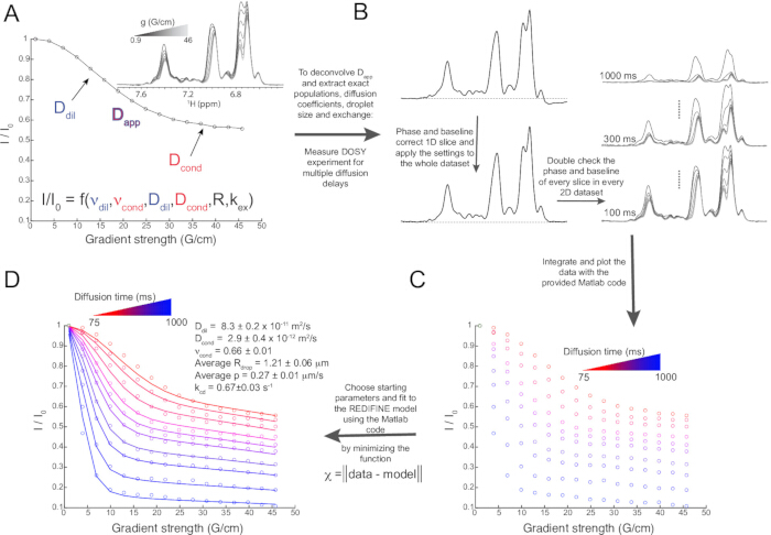 figure-results-1 Diffusion-Ordered NMR Spectroscopy (DOSY) diagram showing diffusion coefficient data analysis.