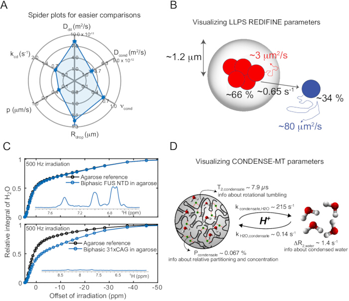 figure-results-3 Spider plot, LLPS and CONDENSE-MT parameters, and agarose analysis; diffusion and partitioning.