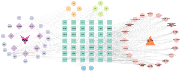 figure-results-6 Gene network diagram; nodes, relationships, pathways in genetic research visualization.