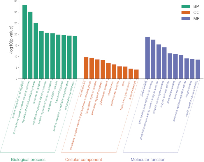 figure-results-7 Gene ontology bar chart; biological process, cellular component, molecular function; -log10(p value).