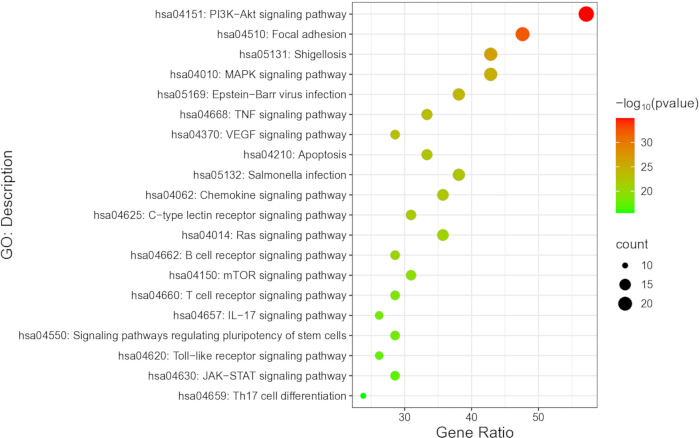 figure-results-8 Dot plot illustrating gene enrichment analysis; pathways, gene ratio, and p-value; color-coded results.