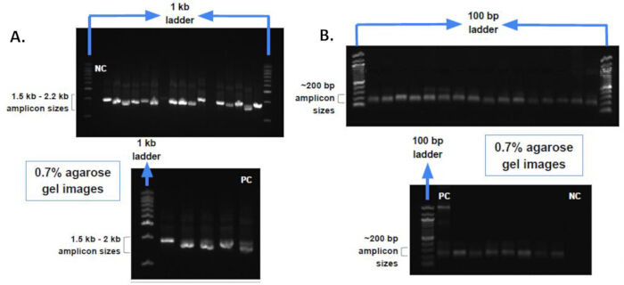 figure-results-2 figure-results-2