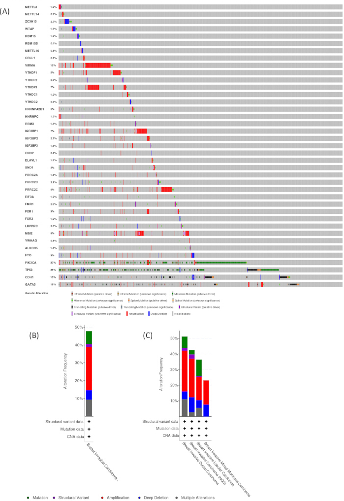 figure-results-1 figure-results-1