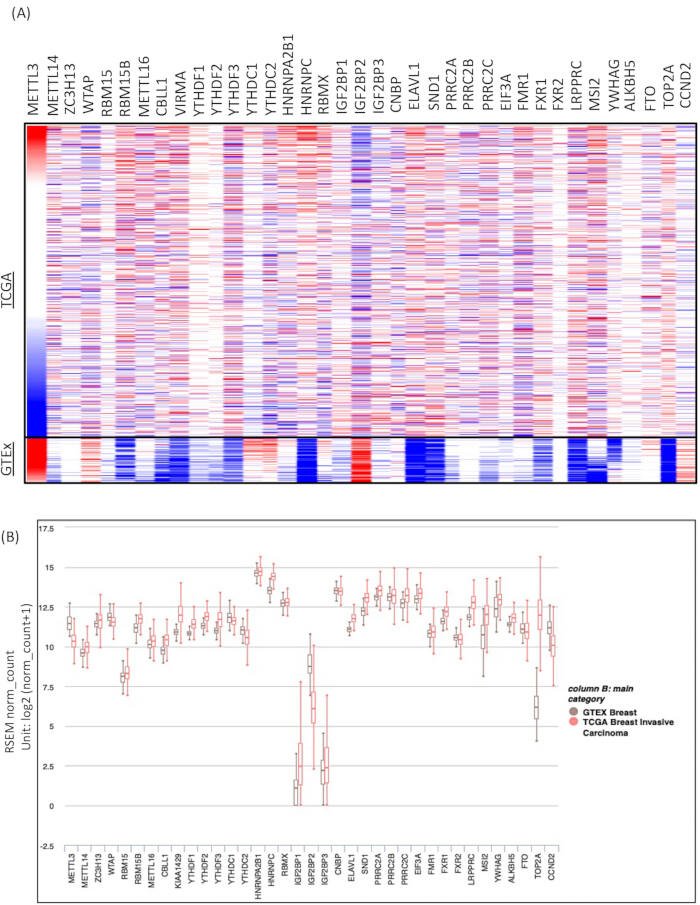 figure-results-3 figure-results-3