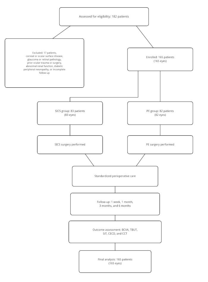 figure-protocol-1 figure-protocol-1