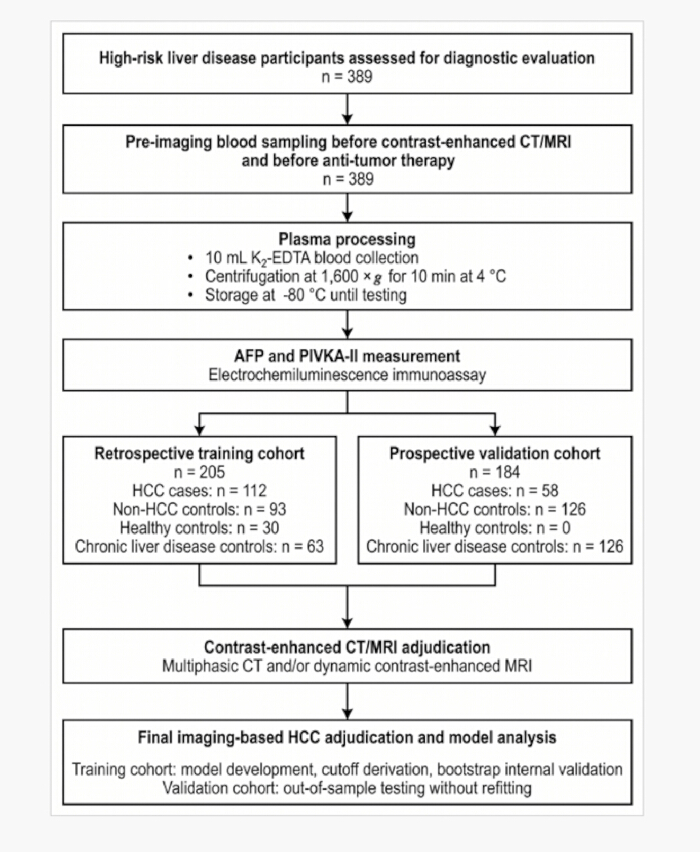 figure-results-1 肝病研究流程图;诊断、血浆处理、免疫测定、CT/MRI 判定。