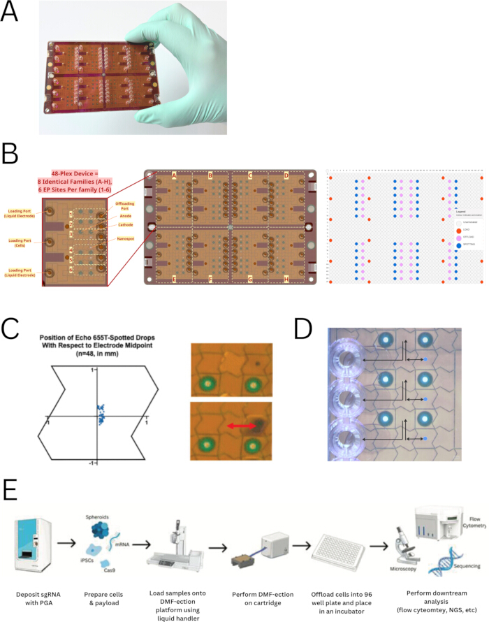 Microfluidic device for digital microfluidics (DMF) setup; diagram of chip layout and operation.