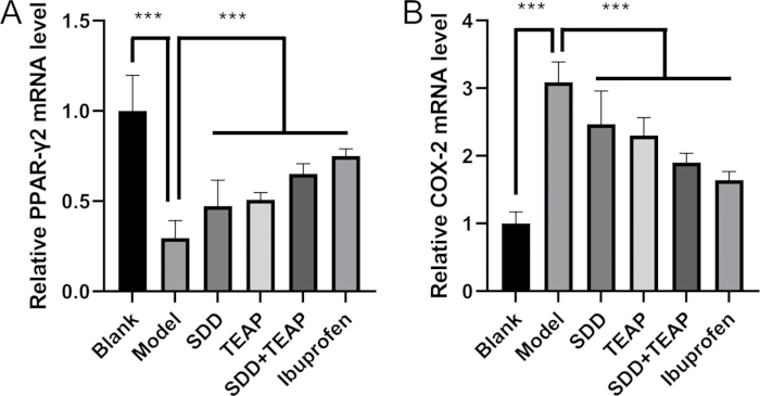 Bar chart showing relative PPAR-γ2 and COX-2 mRNA levels; statistical significance marked.