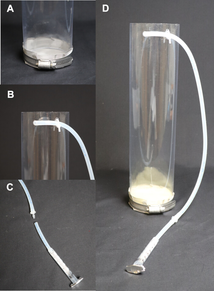 Vertical static equilibrium, pressure experiment setup, clamp and tubing diagram, physics study.