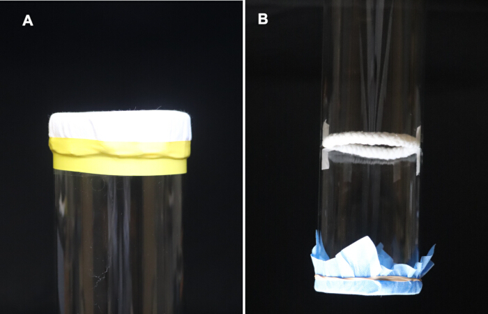 Diagrams of cotton-plugged fermentation vessels for anaerobic microbial growth experiments.