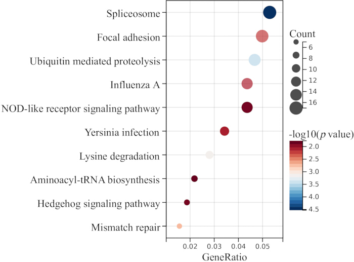 figure-results-7 Bubbl plot diagram, gene pathway enrichment; size: count, color: -log10(p value).