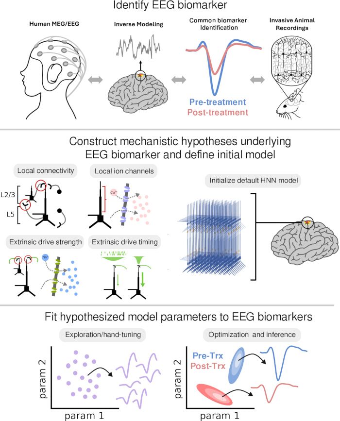 EEG biomarker identification process; inverse modeling; mechanistic hypothesis; parametric fitting diagram.