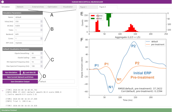 Human Neocortical Neurosolver, simulation parameters, network diagram, ERP data analysis graph.