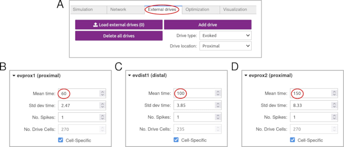 External drives setup; simulation settings, mean time values for prox/distal evoked drives.