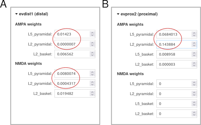 AMPA and NMDA weights comparison; distal vs. proximal; chart; synaptic strength analysis.