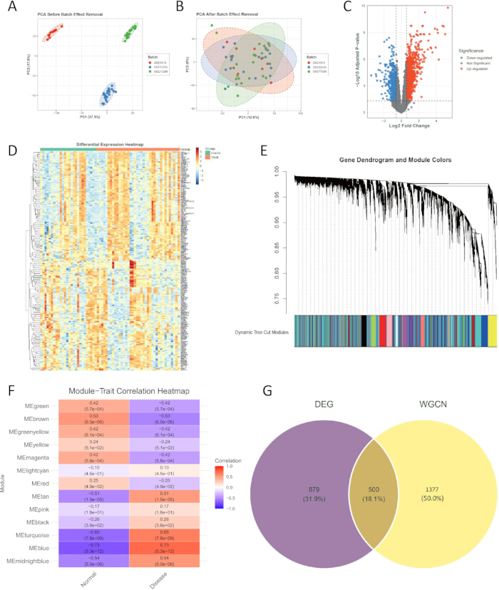 figure-results-2 Gene expression analysis: PCA, differential expression heatmap, dendrogram, correlation heatmap, Venn.