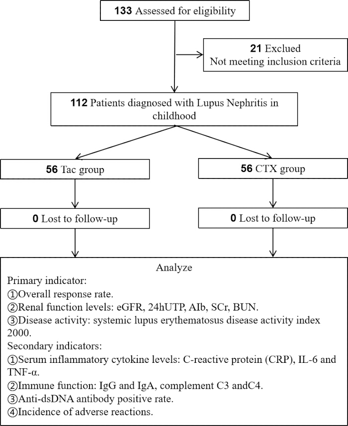 figure-protocol-1