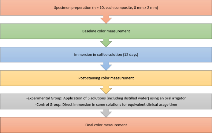 Tooth staining process diagram: specimen preparation, coffee immersion, color measurement steps.